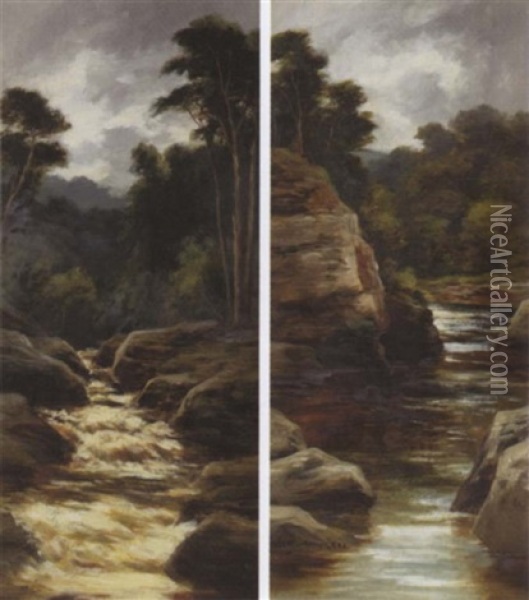 The Falls Of Bruar Oil Painting - William Beattie-Brown