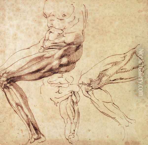 Three Studies of a Leg Oil Painting - Michelangelo Buonarroti