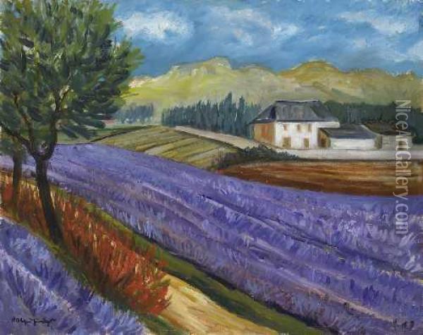 Feld Mit Bluhendem Lavendel Oil Painting - Otto Geigenberger