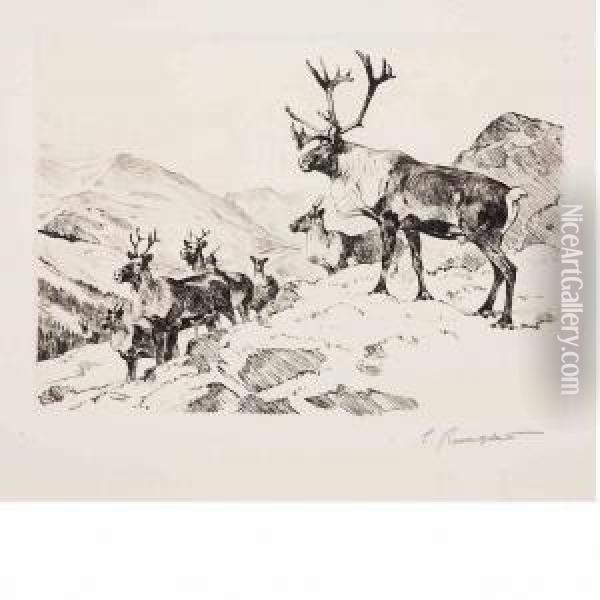 Mountain Caribou Oil Painting - Carl Ringius