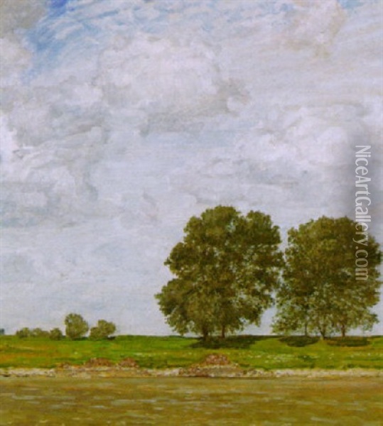Am Niederrhein Oil Painting - August Deusser