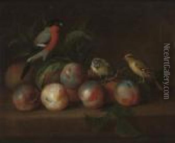 A Bullfinch And Other Birds With Peaches Oil Painting - Tobias Stranover