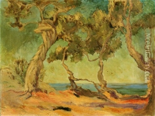 Trees By The Shore, A California View (?) Oil Painting - Bertha Lacey