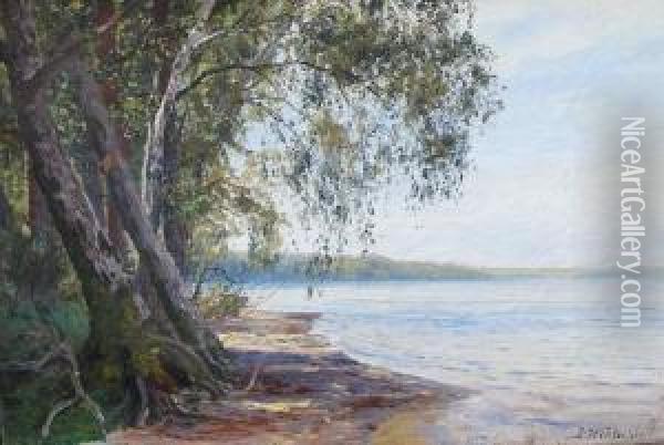 Baumbestandene Uferlandschaft Oil Painting - Julius Wentscher