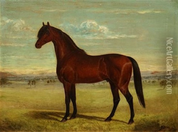 Untitled (horse) Oil Painting - Frederick Woodhouse Sr.