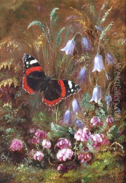 Red Admiral, Heather And Harebell Oil Painting - Albert Durer Lucas