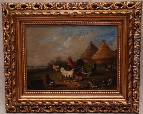 Farm Landscape With Rooster, Hens , Chicks, Ducks Oil Painting - Franz van Severdonck