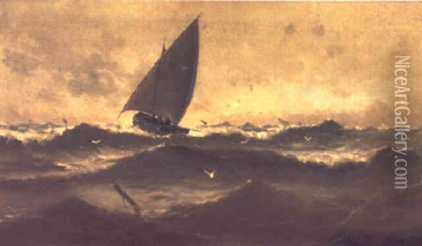 Velero De Pescadores En Alta Mar Oil Painting - Eliseo Meifren y Roig