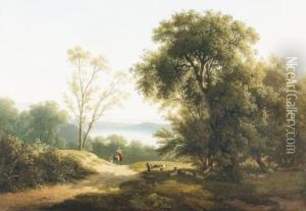Vue Du Lac D'albano. Oil Painting - Martin Verstappen