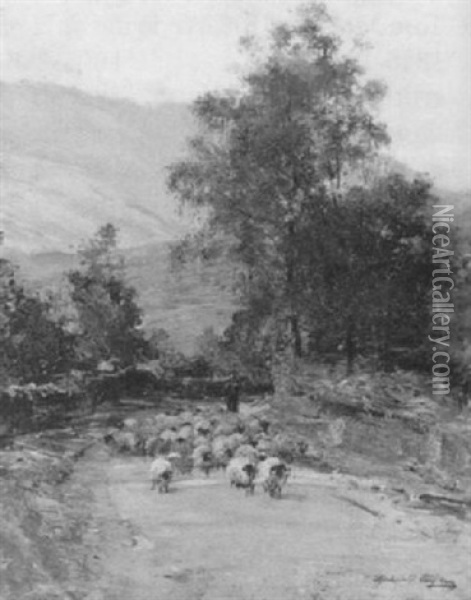 Driving Sheep Oil Painting - Archibald Kay