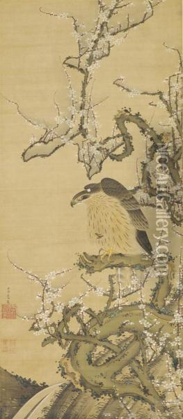 Hawk On A Blossoming Plum Branch Oil Painting - Ito Jakuchu