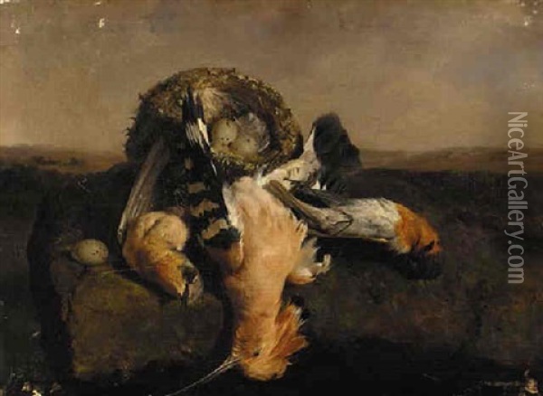 Hoopoes And A Nest Oil Painting - David Emile Joseph de Noter