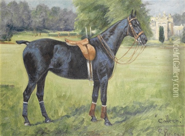 Colleen, Portrait Of A Polo Pony Oil Painting - George Paice