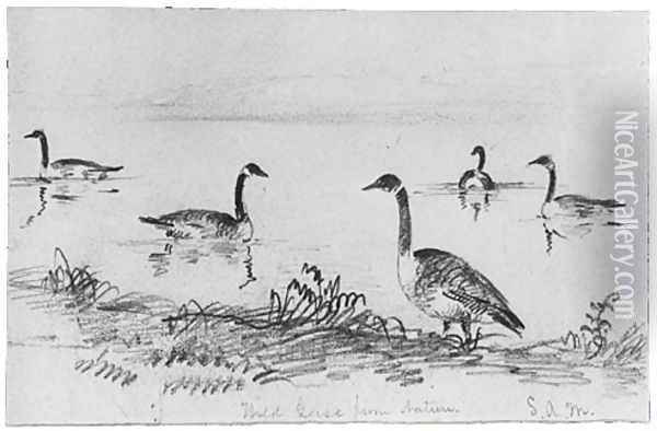 Wild Geese (from McGuire Scrapbook) Oil Painting - Shepard Alonzo Mount