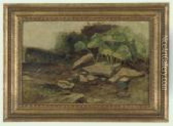 Study Of Rocks And Plants Oil Painting - William James Muller