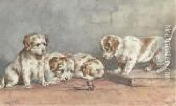 Puppies On A Step Oil Painting - John Emms