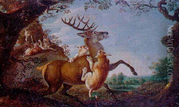Cerf Attaque Par Les Lynx Oil Painting - Johann Elias Ridinger