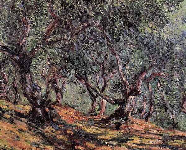 Olive Trees In Bordighera Oil Painting - Claude Oscar Monet
