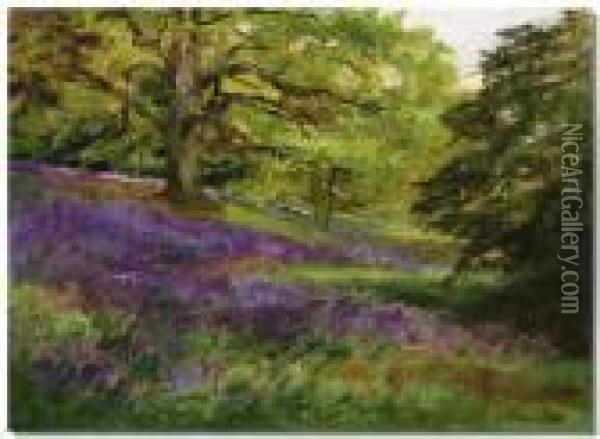 Bluebell Woods Oil Painting - Henry John Yeend King