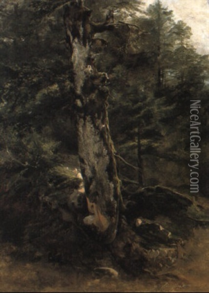 Foret A Fontainebleau Oil Painting - Jules Coignet