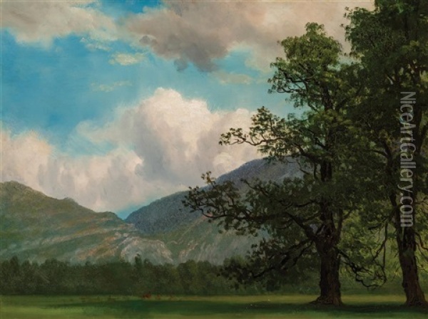 Landscape With Mountain And Trees Oil Painting - Albert Bierstadt