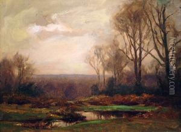 A Pond Beneath Trees At Dusk Oil Painting - John Noble Barlow