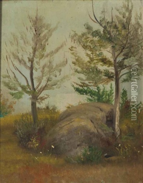 Rock And Trees Oil Painting - William Sidney Mount