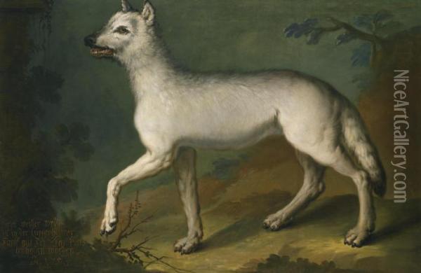 A White Wolf In A Landscape Oil Painting - Heinrich Lihl