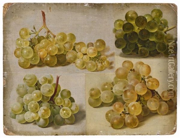 Vier Weise Trauben, Eine Im Gegenlicht Oil Painting - Johann Wilhelm Preyer