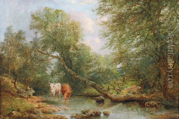 Cattle Watering In A Pond Oil Painting - Joseph Haslam Hawksworth