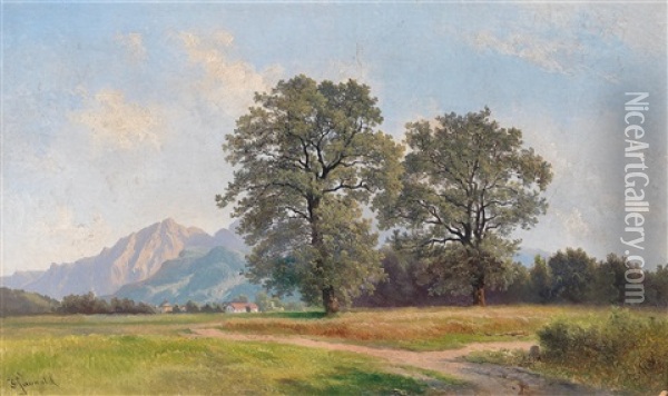 Landschaftsmotiv Aus Dem Salzburgischen Oil Painting - Karl Franz Emanuel Haunold
