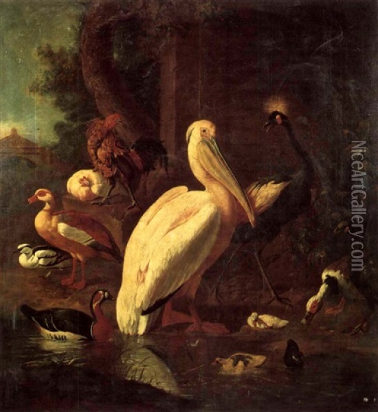 A Pelican,heron,rooster And Various Ducks By A Stream Oil Painting - Melchior de Hondecoeter