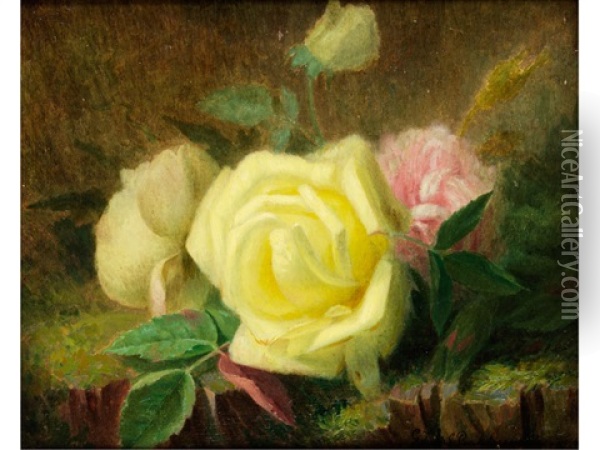 Rosen Oil Painting - Gerardina Jacoba van de Sande Bakhuyzen