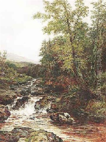 Bewaldete Bachlandschaft In Den Midlands Oil Painting - Leopold Rivers