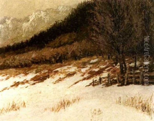 Berghang Bei Kufstein Oil Painting - Julius Koehler