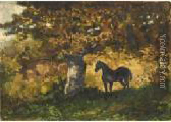 Cheval Dans Un Sous Bois Oil Painting - Antoine-louis Barye