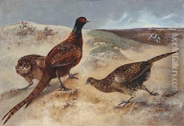 Heathland With Pheasants Who Discover A Hunting Dog Oil Painting - Charles Verlat