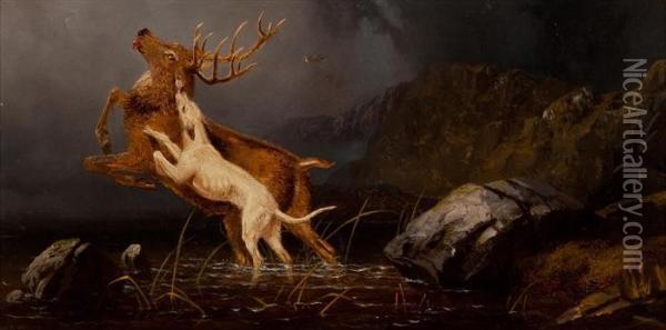Dog Attacking A Stag In The Highlands Oil Painting - Robert Henry Roe