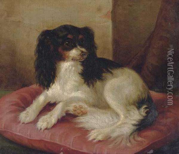 A King Charles Spaniel On A Red Cushion Oil Painting - Hermann Freese