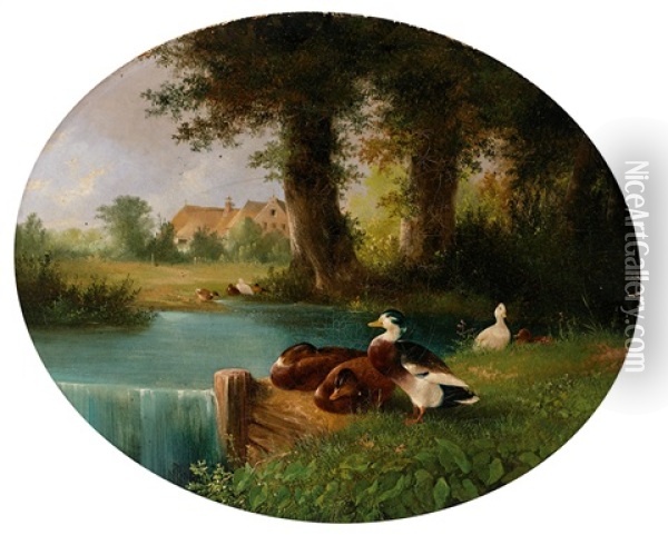 Enten An Einem Teich, Im Hintergrund Reetgedecktes Gehoft Oil Painting - August Knip