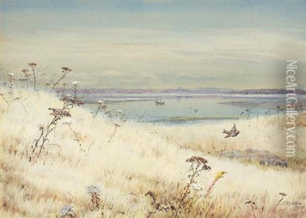 A View From The Marsh, Stratford, Connecticut Oil Painting - Fidelia Bridges