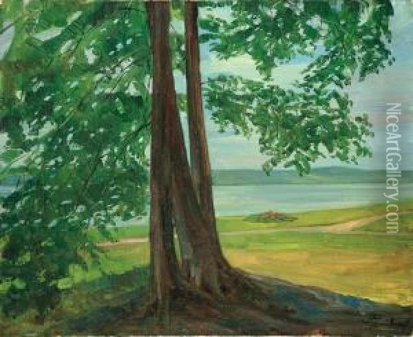 Drei Buchen Am See Oil Painting - Wilhelm Trubner
