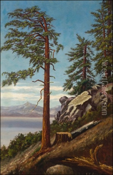 Tahoe Landscape Oil Painting - Grafton Tyler Brown
