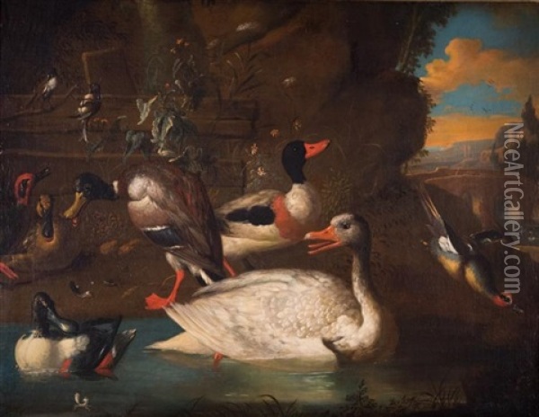 Waterfowl Oil Painting - Melchior de Hondecoeter