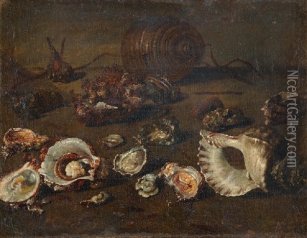 Conch And Oyster Shells On A Stone Ledge Oil Painting - Giuseppe Recco