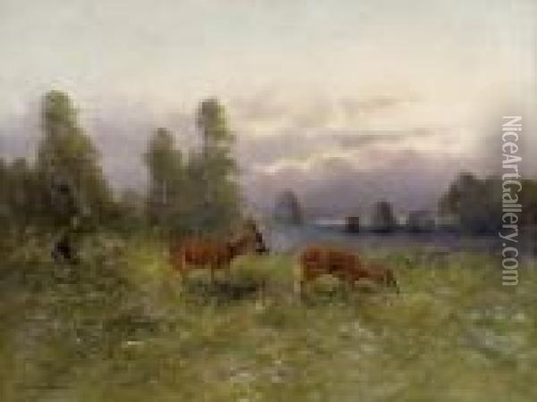 Rotwild Auf Der Lichtung Oil Painting - Moritz Muller
