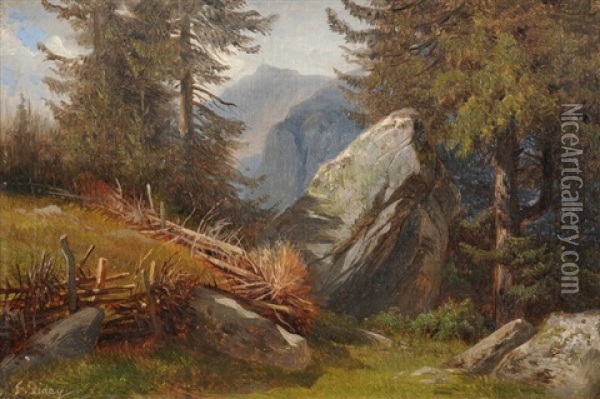 Alpine Landschaftsstudie Oil Painting - Francois Diday