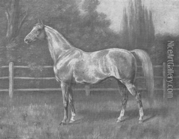 Pferd Auf Der Koppel Oil Painting - Julius von Blaas