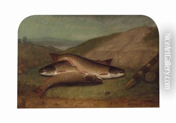 Catch Of The Day, Trout On A Riverbank Oil Painting - Walter M. Brackett