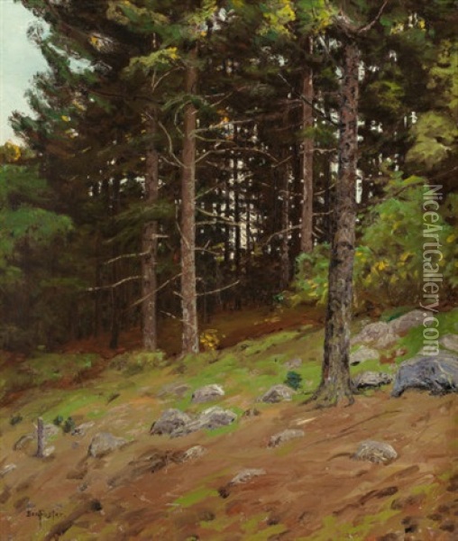 In The Pines Oil Painting - Ben Foster